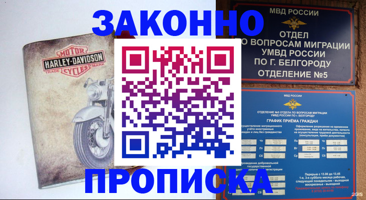 прописка для школы в Заволжске